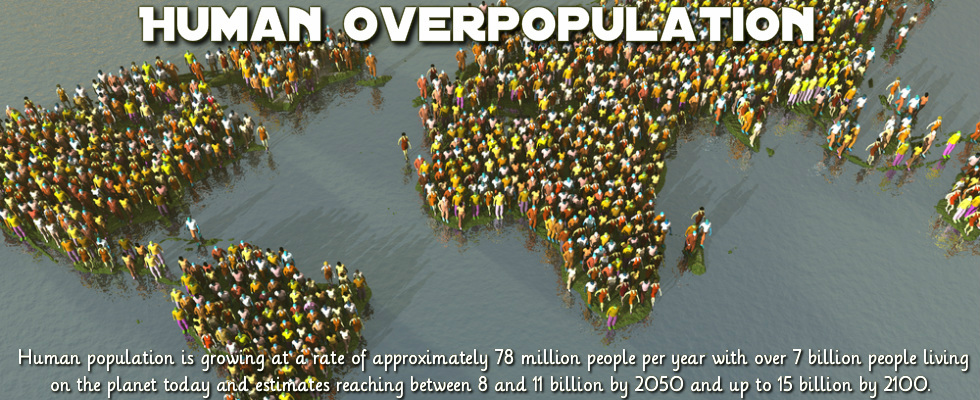 Overpopulation - Everything Connects